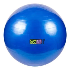 GoFit Stability Ball -Sports Store 2310 13859 2500 000 zoom 64