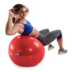 GoFit Stability Ball -Sports Store 2310 13859 2500 000 zoom 83