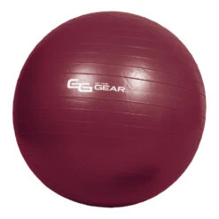 Go Time Gear Deluxe Exercise Ball