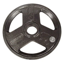 Weider 25-lb. Olympic Plate