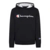 Champion Boys' Script Hoodie 1 Champion Boys' Script Hoodie -Sports Store 4750 15526 3430 015 zoom 02
